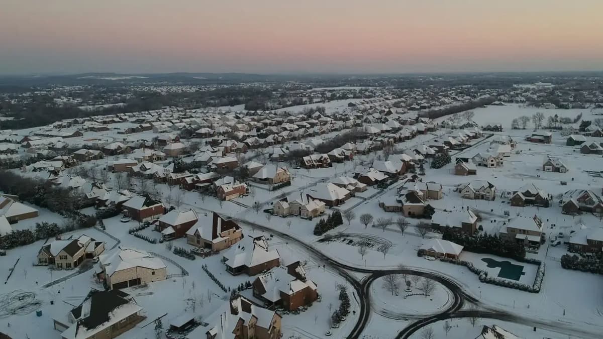 Professional movers loading truck